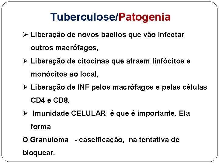 Tuberculose/Patogenia Ø Liberação de novos bacilos que vão infectar outros macrófagos, Ø Liberação de