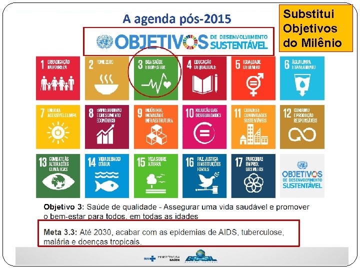 Substitui Objetivos do Milênio 