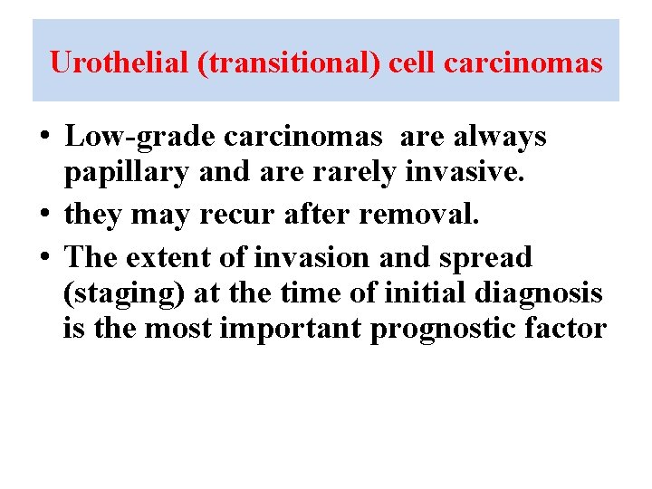 Urothelial (transitional) cell carcinomas • Low-grade carcinomas are always papillary and are rarely invasive.