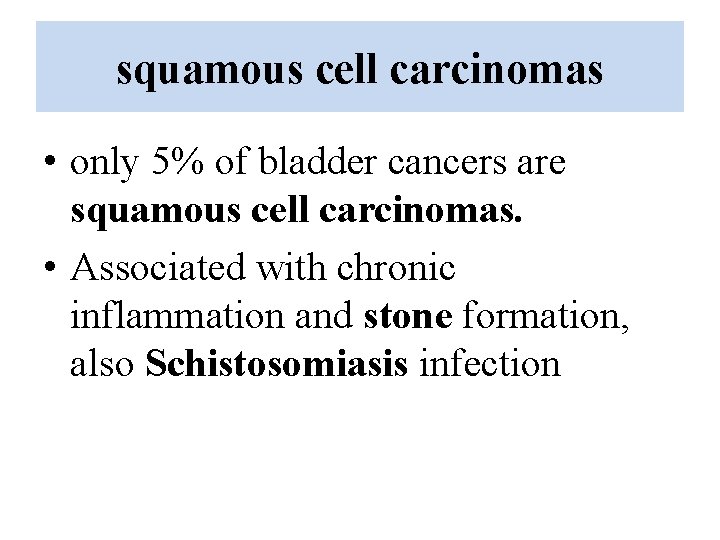 squamous cell carcinomas • only 5% of bladder cancers are squamous cell carcinomas. •