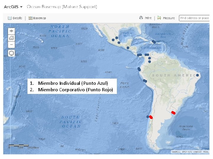 1. Miembro Individual (Punto Azul) 2. Miembro Corporativo (Punto Rojo) 