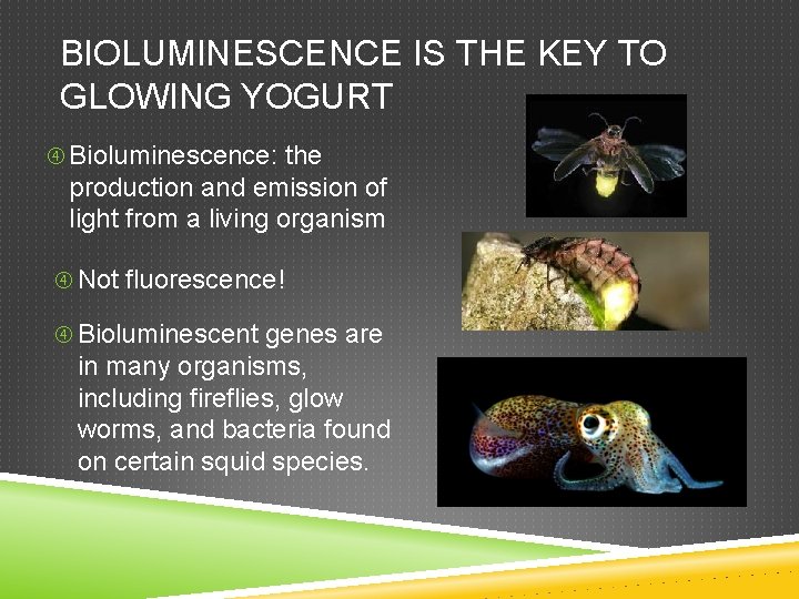 BIOLUMINESCENCE IS THE KEY TO GLOWING YOGURT Bioluminescence: the production and emission of light