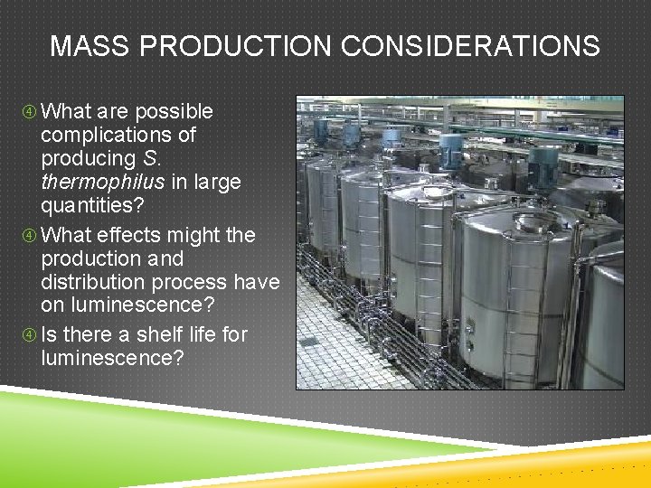 MASS PRODUCTION CONSIDERATIONS What are possible complications of producing S. thermophilus in large quantities?