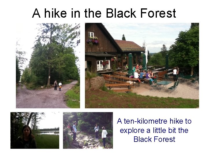 A hike in the Black Forest A ten-kilometre hike to explore a little bit