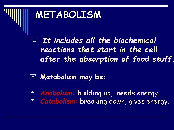METABOLISM + It includes all the biochemical reactions that start in the cell after