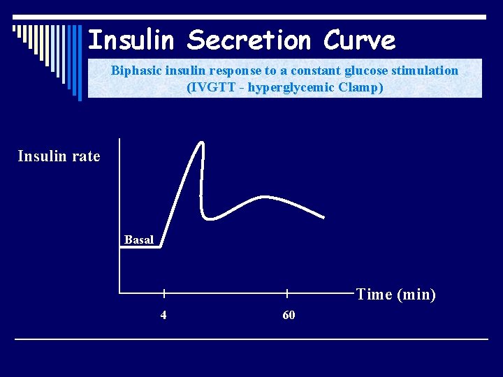 Insulin Secretion Curve Biphasic insulin response to a constant glucose stimulation (IVGTT - hyperglycemic