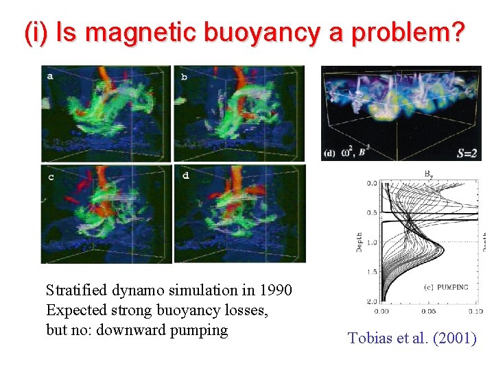 (i) Is magnetic buoyancy a problem? Stratified dynamo simulation in 1990 Expected strong buoyancy