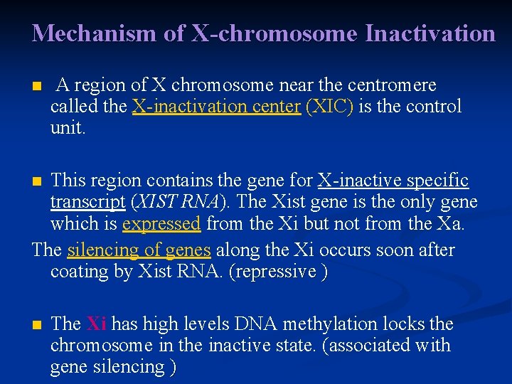 Mechanism of X-chromosome Inactivation n A region of X chromosome near the centromere called