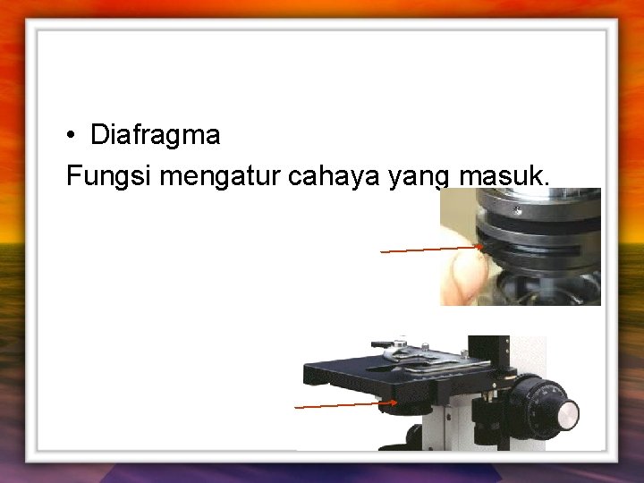  • Diafragma Fungsi mengatur cahaya yang masuk. 