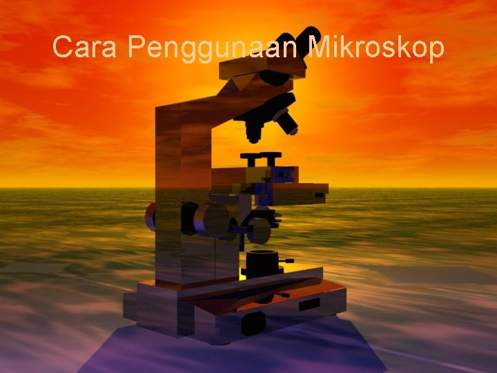 Cara Penggunaan Mikroskop 