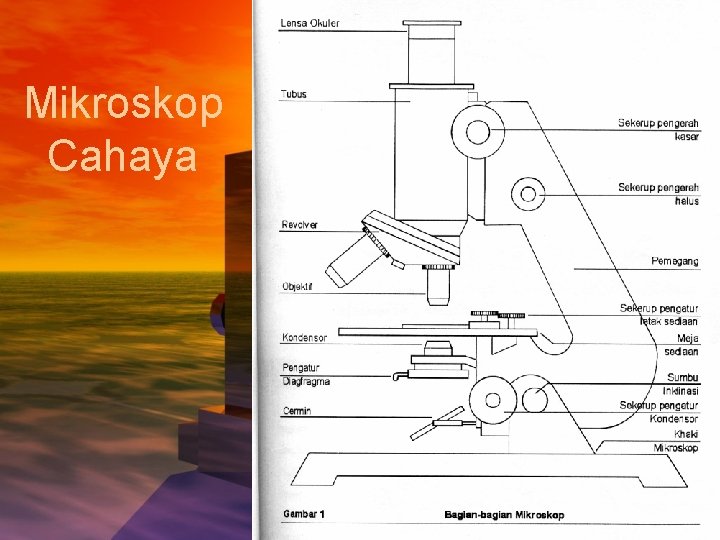 Mikroskop Cahaya 