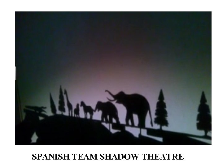 SPANISH TEAM SHADOW THEATRE 