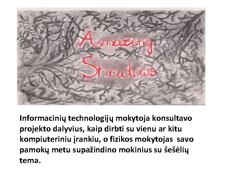 Informacinių technologijų mokytoja konsultavo projekto dalyvius, kaip dirbti su vienu ar kitu kompiuteriniu įrankiu,