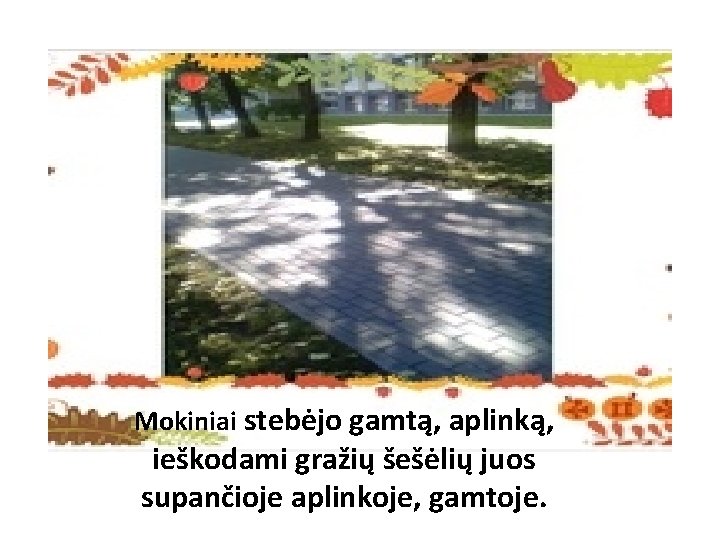 Mokiniai stebėjo gamtą, aplinką, ieškodami gražių šešėlių juos supančioje aplinkoje, gamtoje. 