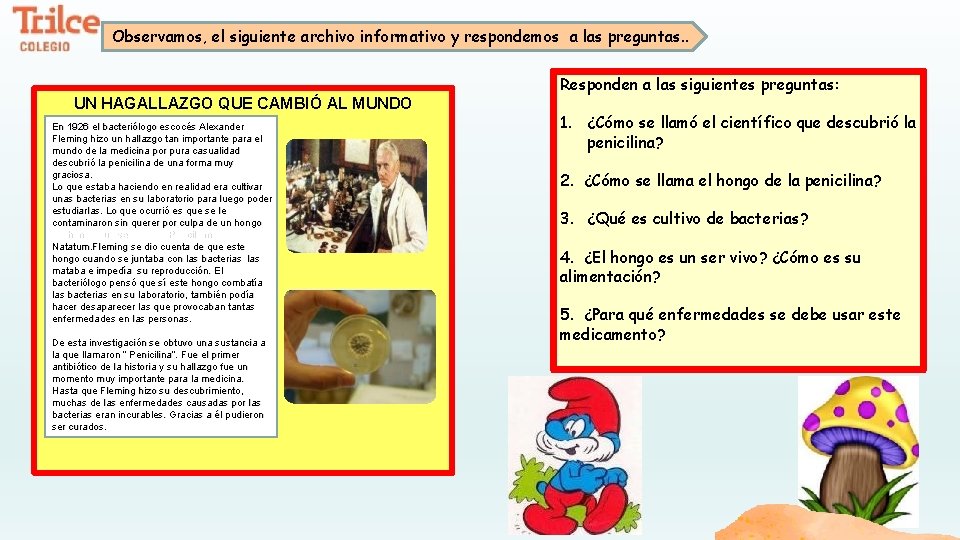 Observamos, el siguiente archivo informativo y respondemos a las preguntas. . UN HAGALLAZGO QUE