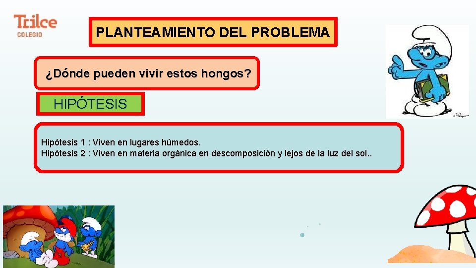 PLANTEAMIENTO DEL PROBLEMA ¿Dónde pueden vivir estos hongos? HIPÓTESIS Hipótesis 1 : Viven en
