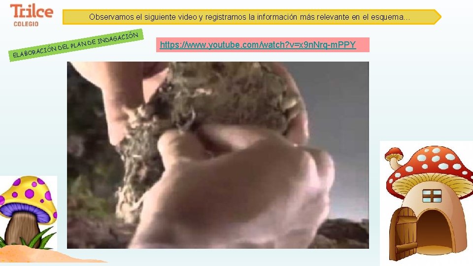 Observamos el siguiente video y registramos la información más relevante en el esquema… CIÓN