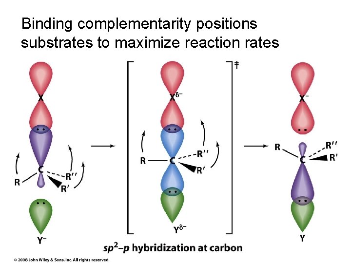 Binding complementarity positions substrates to maximize reaction rates 