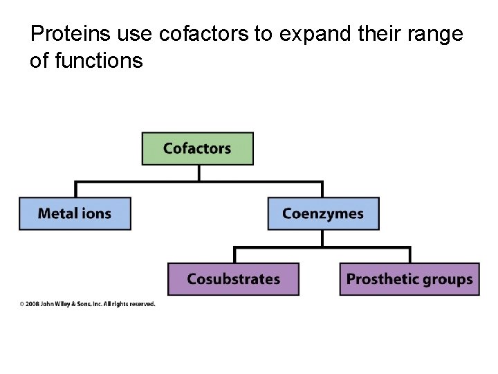 Proteins use cofactors to expand their range of functions 