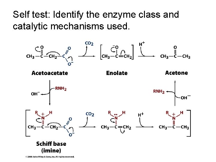 Self test: Identify the enzyme class and catalytic mechanisms used. 