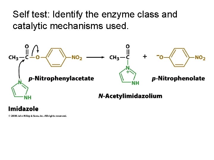 Self test: Identify the enzyme class and catalytic mechanisms used. 