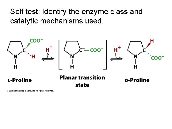 Self test: Identify the enzyme class and catalytic mechanisms used. 