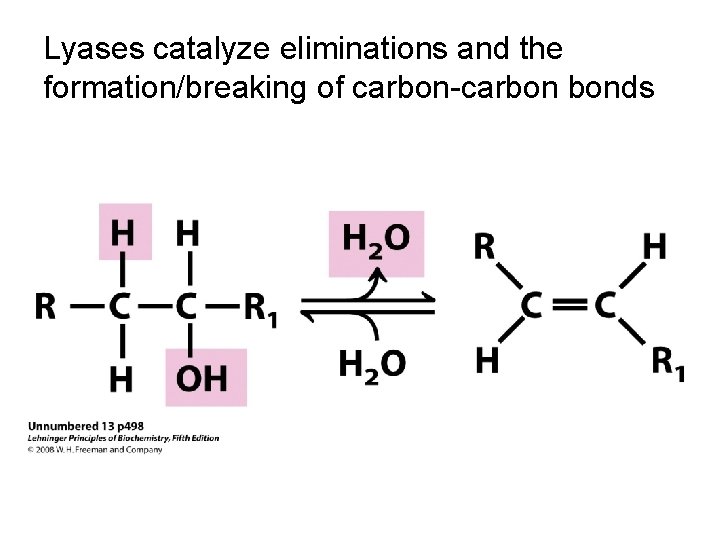 Lyases catalyze eliminations and the formation/breaking of carbon-carbon bonds 