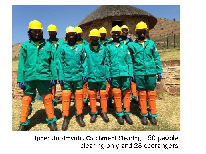 Upper Umzimvubu Catchment Clearing: 50 people clearing only and 28 ecorangers 