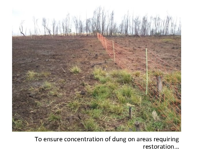To ensure concentration of dung on areas requiring restoration… 