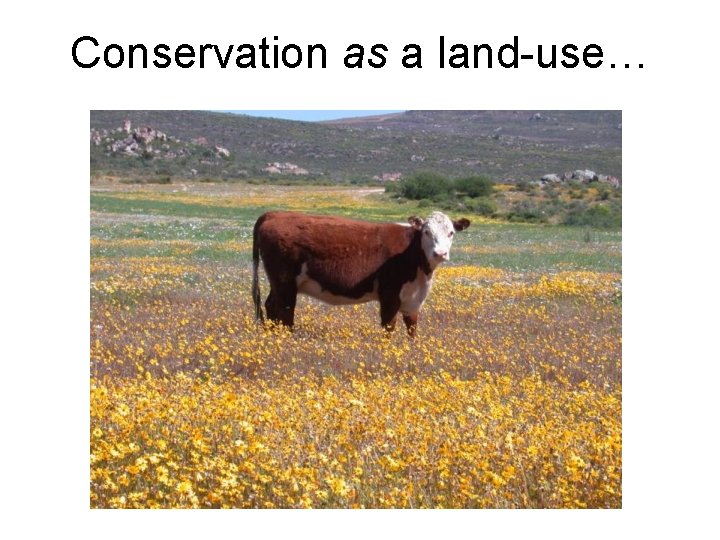 Conservation as a land-use… 
