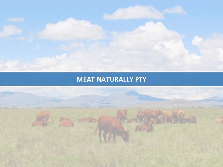 MEAT NATURALLY PTY 