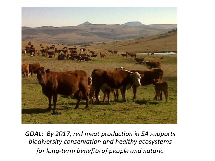 GOAL: By 2017, red meat production in SA supports biodiversity conservation and healthy ecosystems