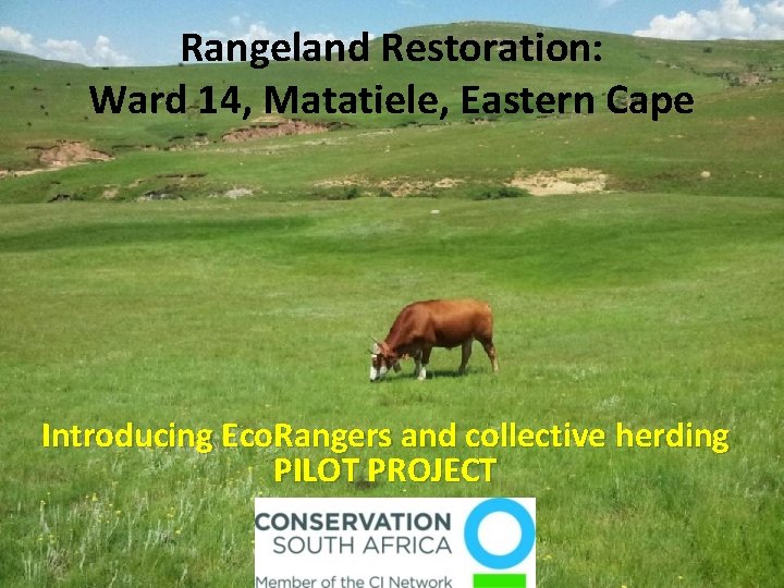 Rangeland Restoration: Ward 14, Matatiele, Eastern Cape Introducing Eco. Rangers and collective herding PILOT