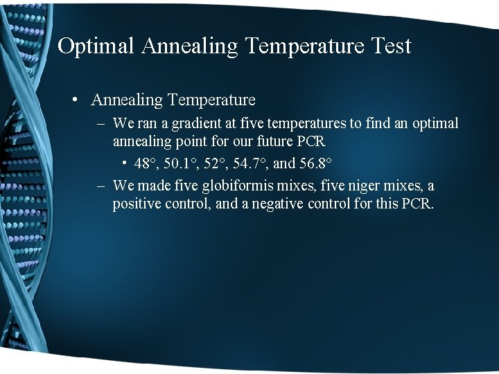 Optimal Annealing Temperature Test • Annealing Temperature – We ran a gradient at five