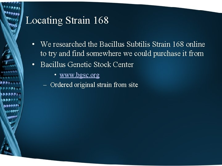 Locating Strain 168 • We researched the Bacillus Subtilis Strain 168 online to try