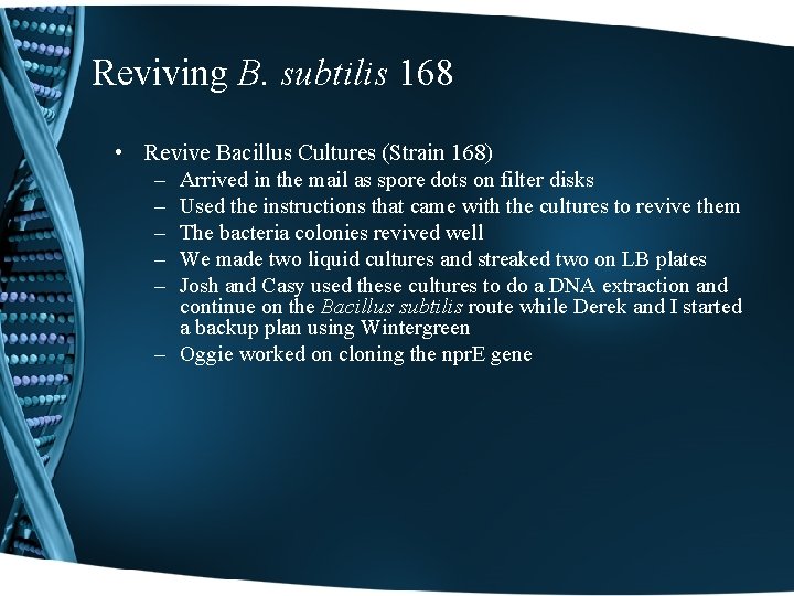 Reviving B. subtilis 168 • Revive Bacillus Cultures (Strain 168) – Arrived in the