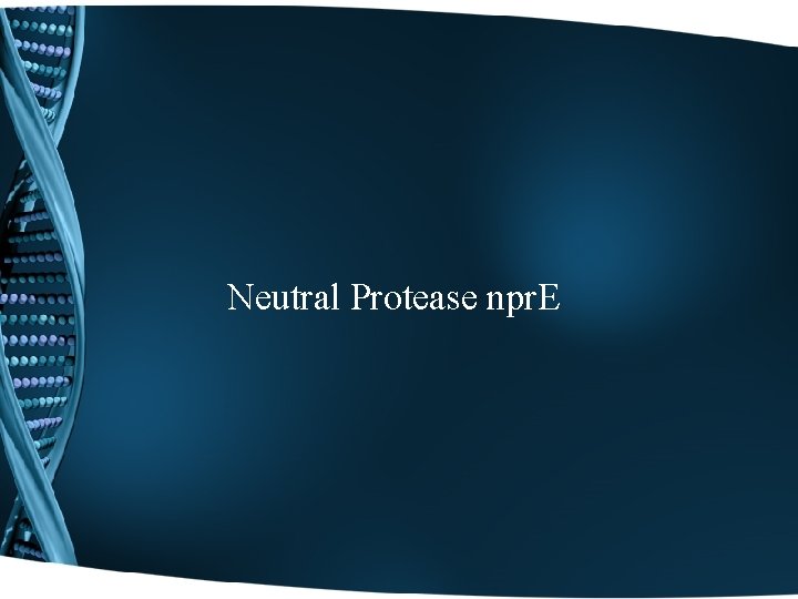 Neutral Protease npr. E 