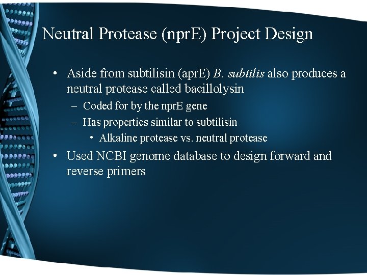 Neutral Protease (npr. E) Project Design • Aside from subtilisin (apr. E) B. subtilis