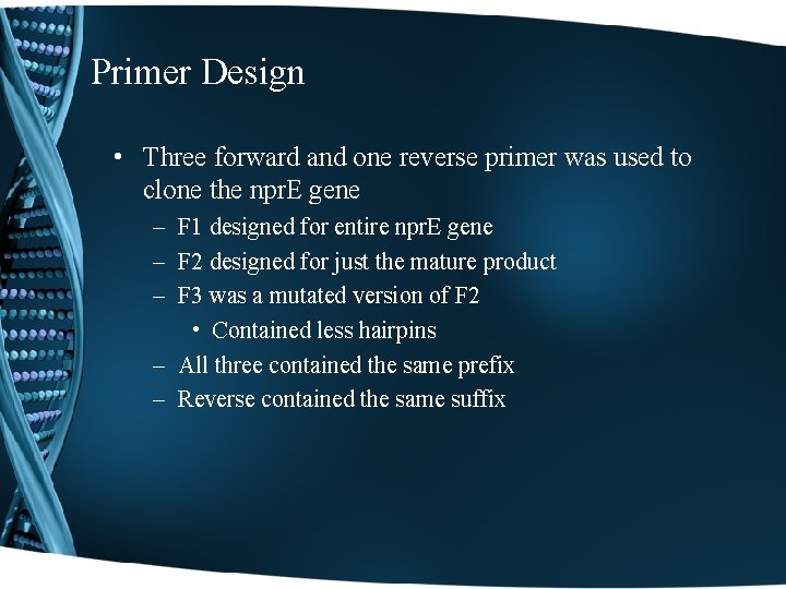 Primer Design • Three forward and one reverse primer was used to clone the