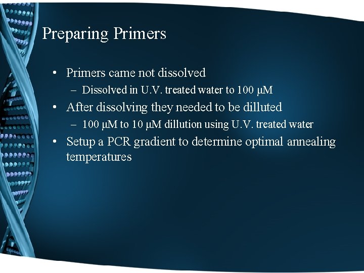 Preparing Primers • Primers came not dissolved – Dissolved in U. V. treated water