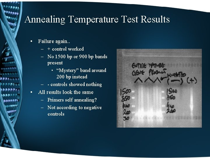 Annealing Temperature Test Results • Failure again. . – + control worked – No