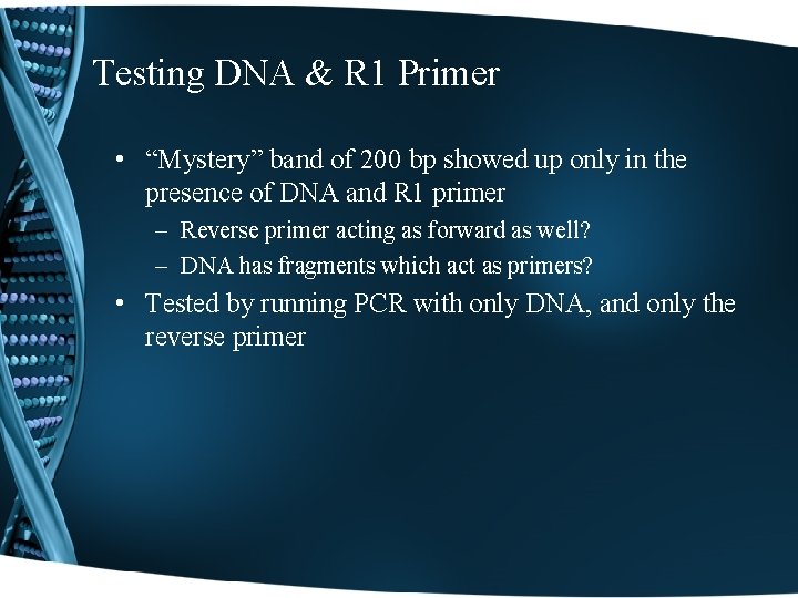 Testing DNA & R 1 Primer • “Mystery” band of 200 bp showed up