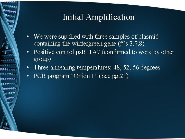 Initial Amplification • We were supplied with three samples of plasmid containing the wintergreen