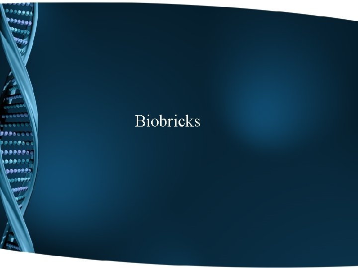 Biobricks 