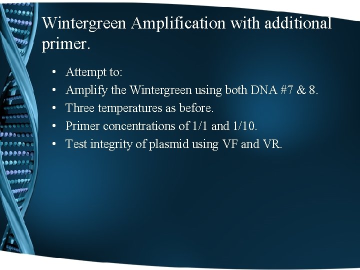 Wintergreen Amplification with additional primer. • • • Attempt to: Amplify the Wintergreen using