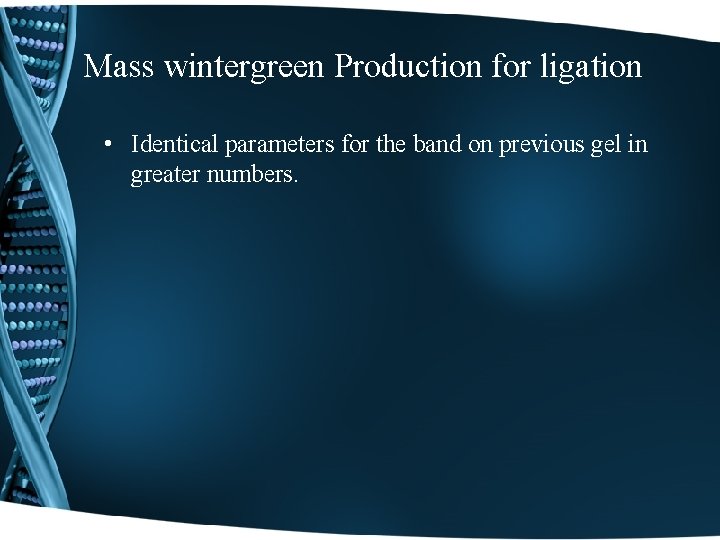 Mass wintergreen Production for ligation • Identical parameters for the band on previous gel