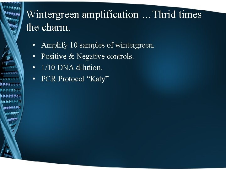 Wintergreen amplification …Thrid times the charm. • • Amplify 10 samples of wintergreen. Positive