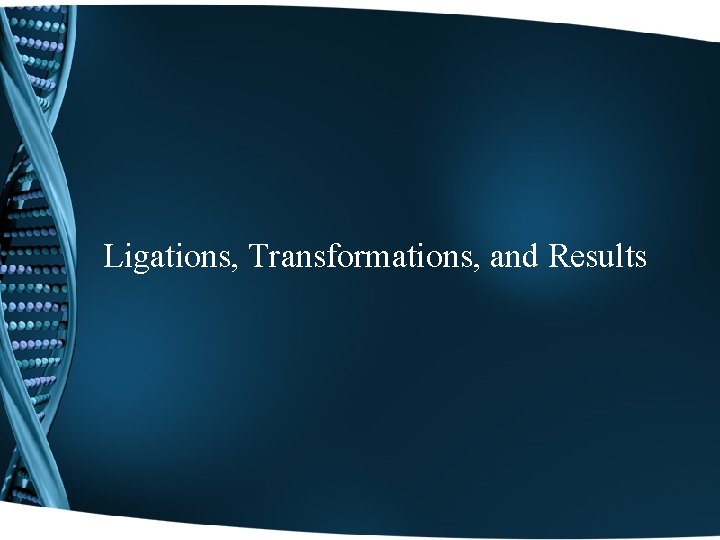Ligations, Transformations, and Results 