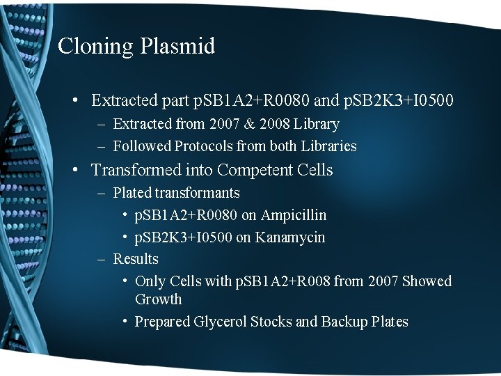 Cloning Plasmid • Extracted part p. SB 1 A 2+R 0080 and p. SB