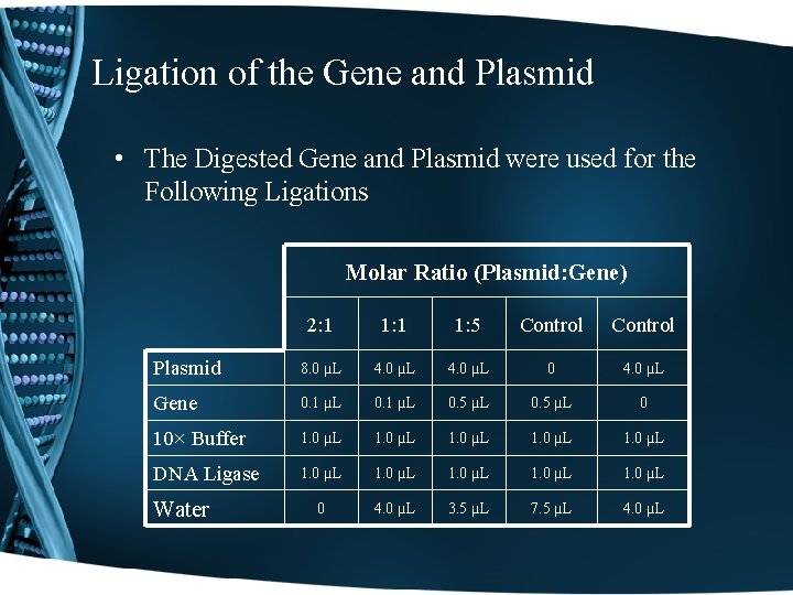 Ligation of the Gene and Plasmid • The Digested Gene and Plasmid were used